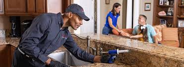 Best Real Estate Pest Inspections  in Grand Haven, MI